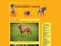 liten zaragambaszoroya.blogg.se skärmbild liten zaragambaszoroya.blogg.se skärmbild