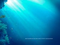  LINKS, EURO COLOR CREATIVE