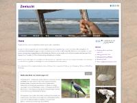 Vogels, Fossielen, Planten & Dieren, Vondsten Vogels, Fossielen, Planten & Dieren, Vondsten