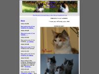 liten zelvitas.se skärmbild liten zelvitas.se skärmbild