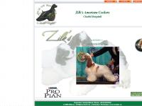 Zilks American Cockers Zilks American Cockers