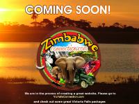 THE ZIMBABWE CONNECTION