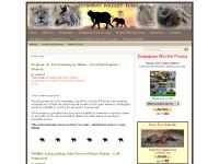 zimbabwewildlifefund.com zimbabwe, wild life, fund