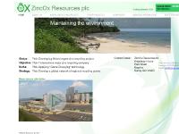 zincox.com Business, Game Changing Process, PROCESS FLOW SHEET