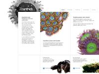 zoanthids.co.uk Zoanthids, Palythoas, Care Guide