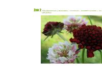  trädgårdsarbete, anläggning, beskärning, trädgårdsmästare